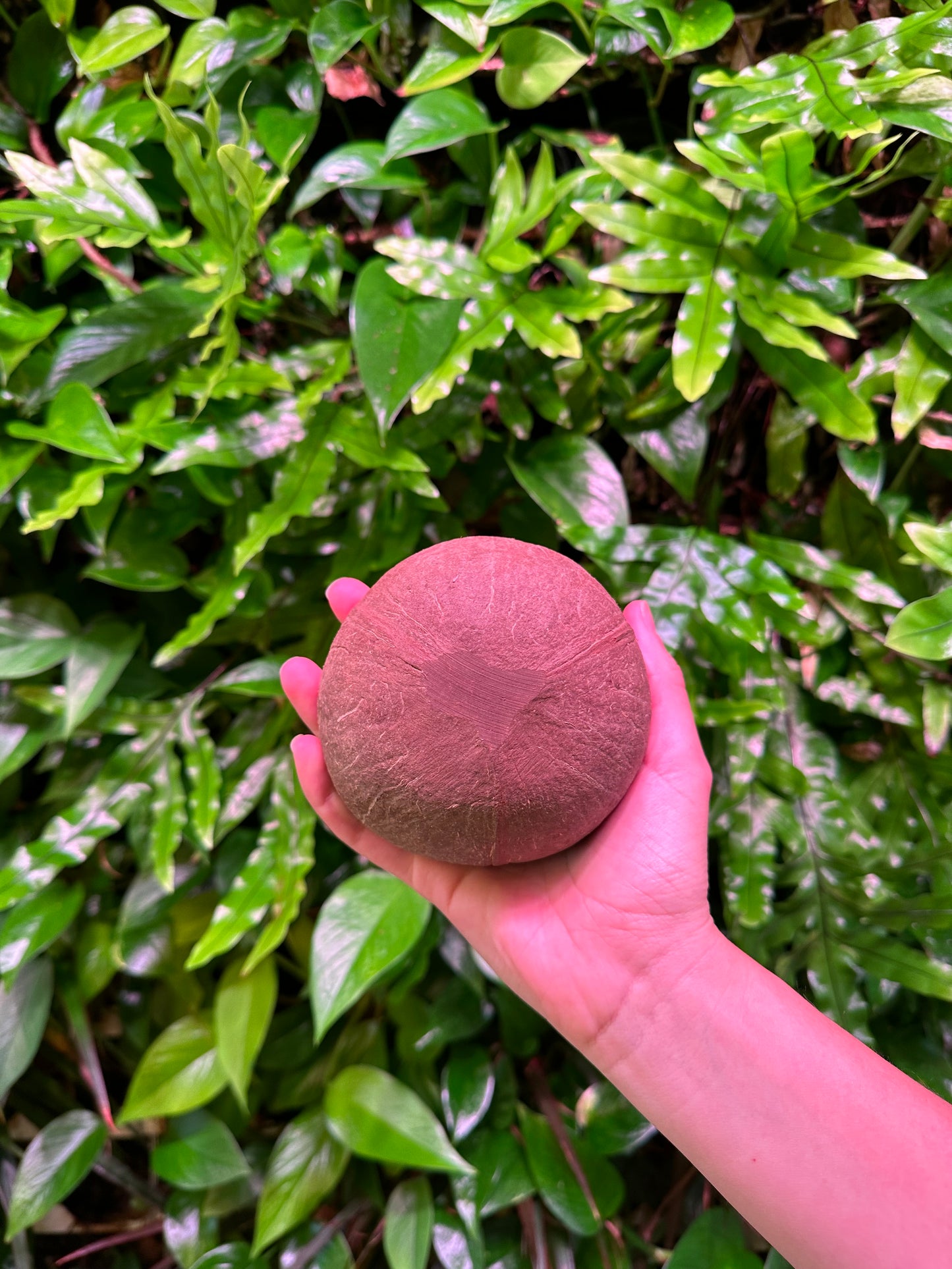 bottom of small coconut bowl