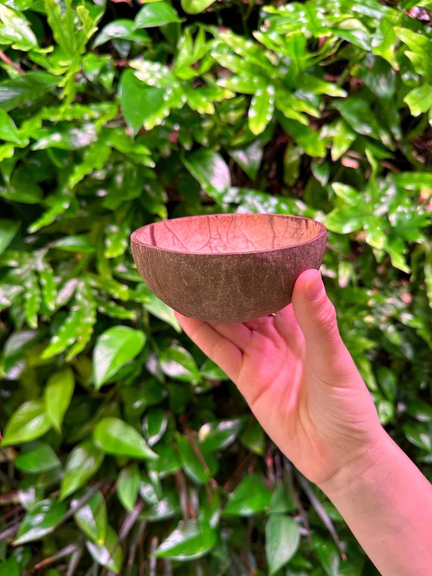 small coconut bowl