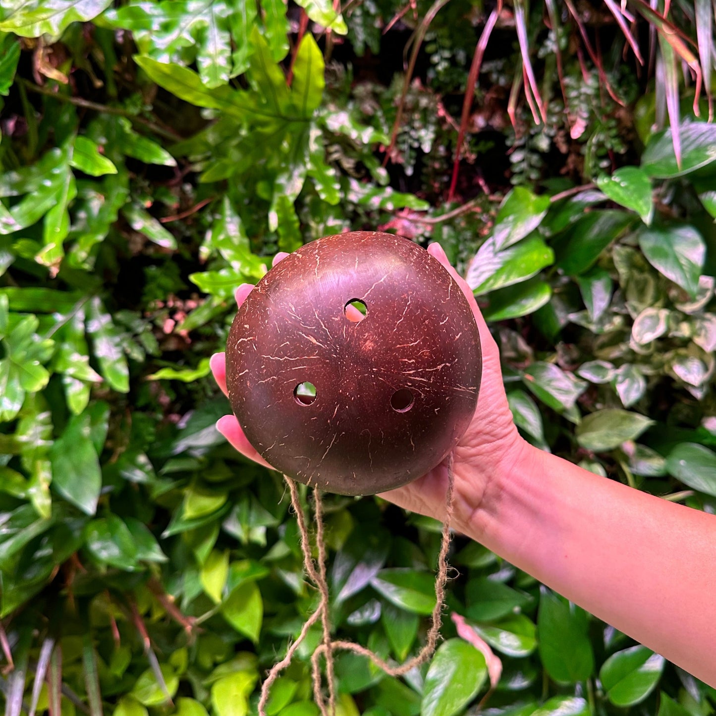 bottom of coconut hanging planter with drainage holes