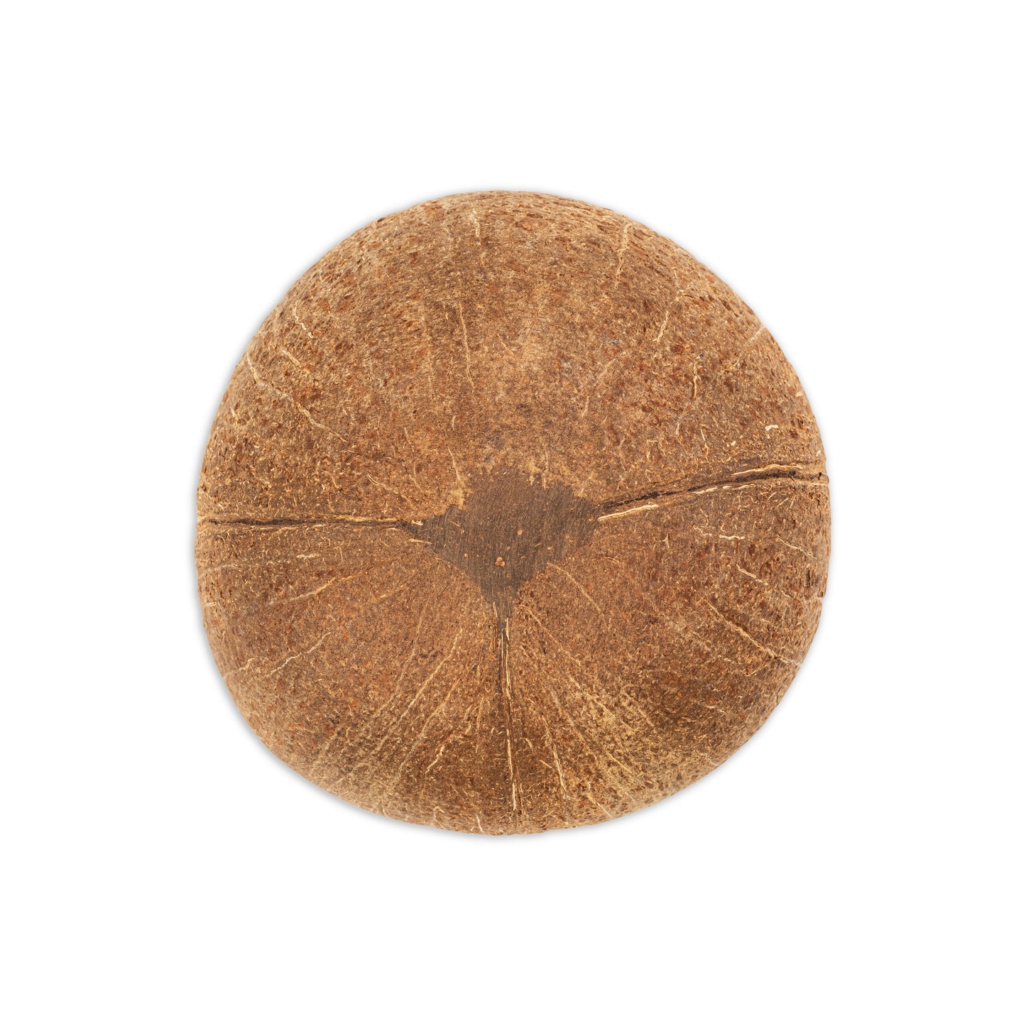 bottom of medium coconut bowl