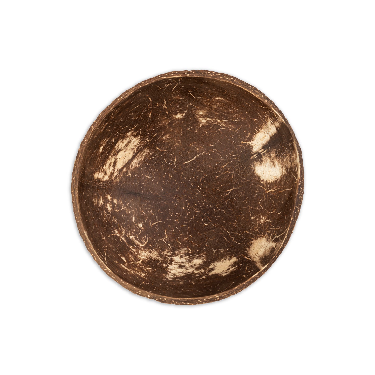 inside of extra large coconut shell bowl