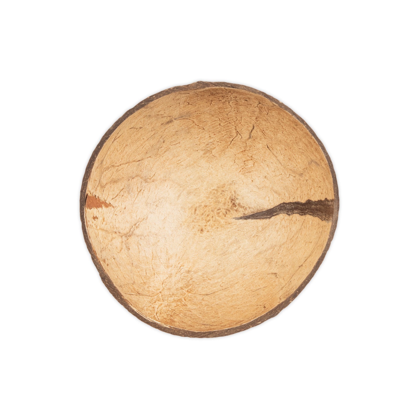 inside of small coconut bowl