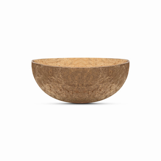 coconut half shell large sanded flat bottom
