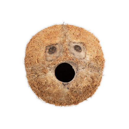 top view of coconut with one hole hollow with fiber
