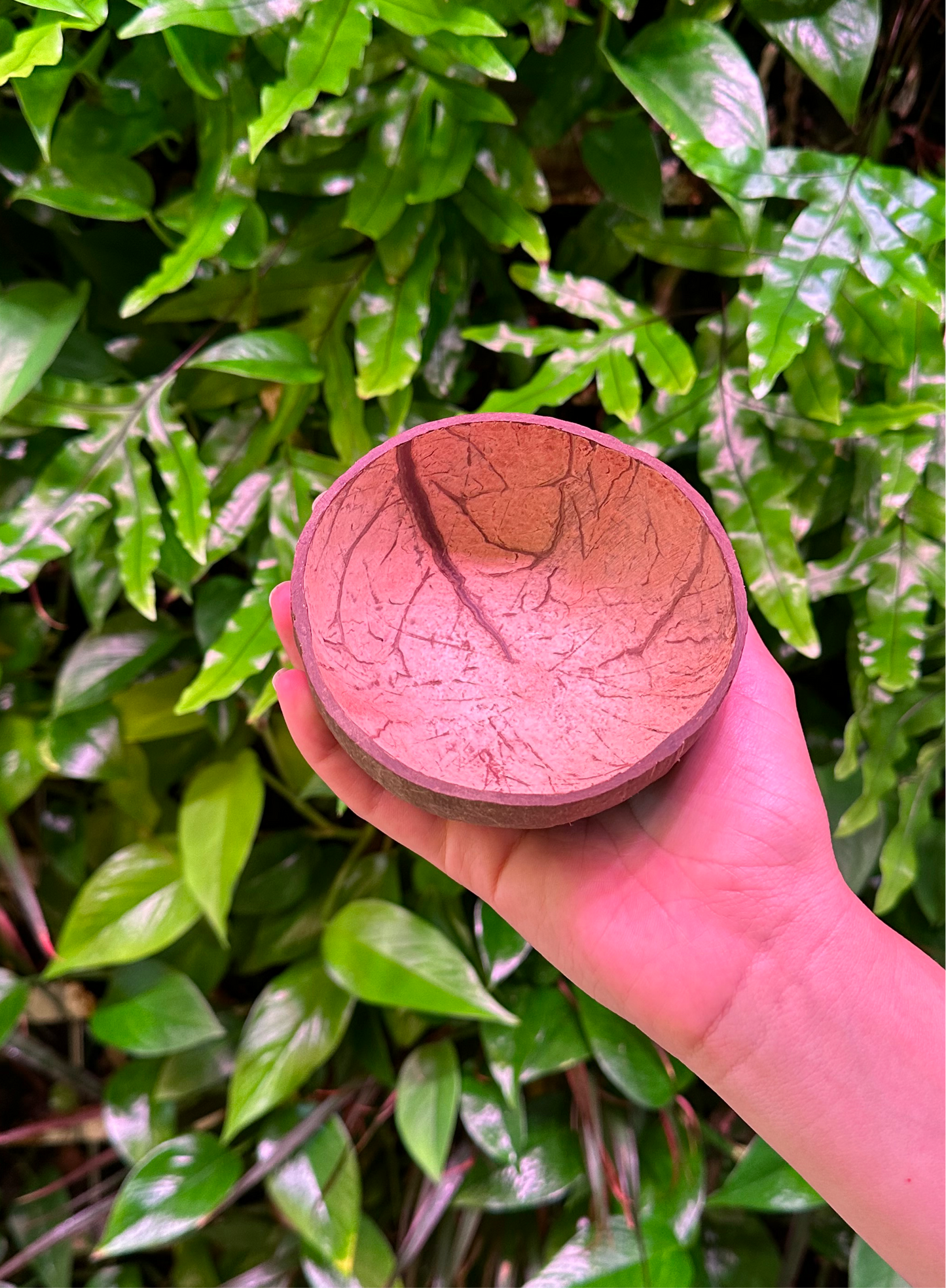 inside of small coconut bowl