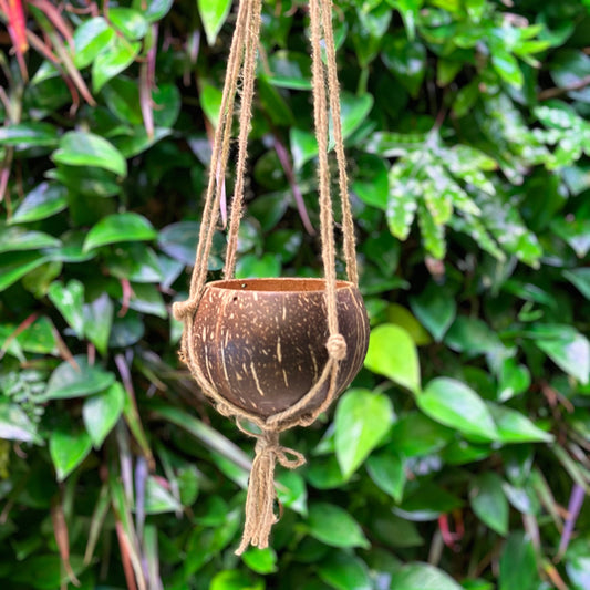 hanging coconut hanging planter with tassel for succulents and hanging plants