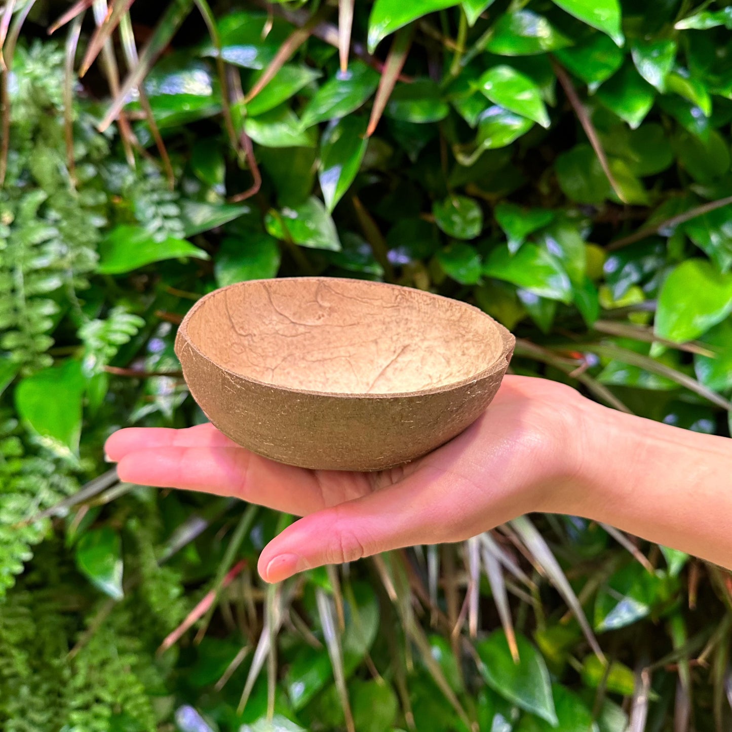 coconut shell bowl oval on hand