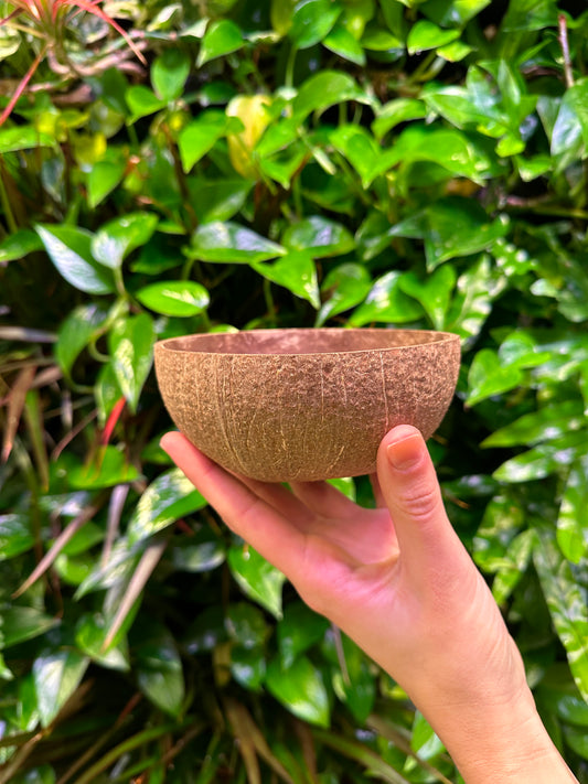 front of medium coconut bowl in hand for scale