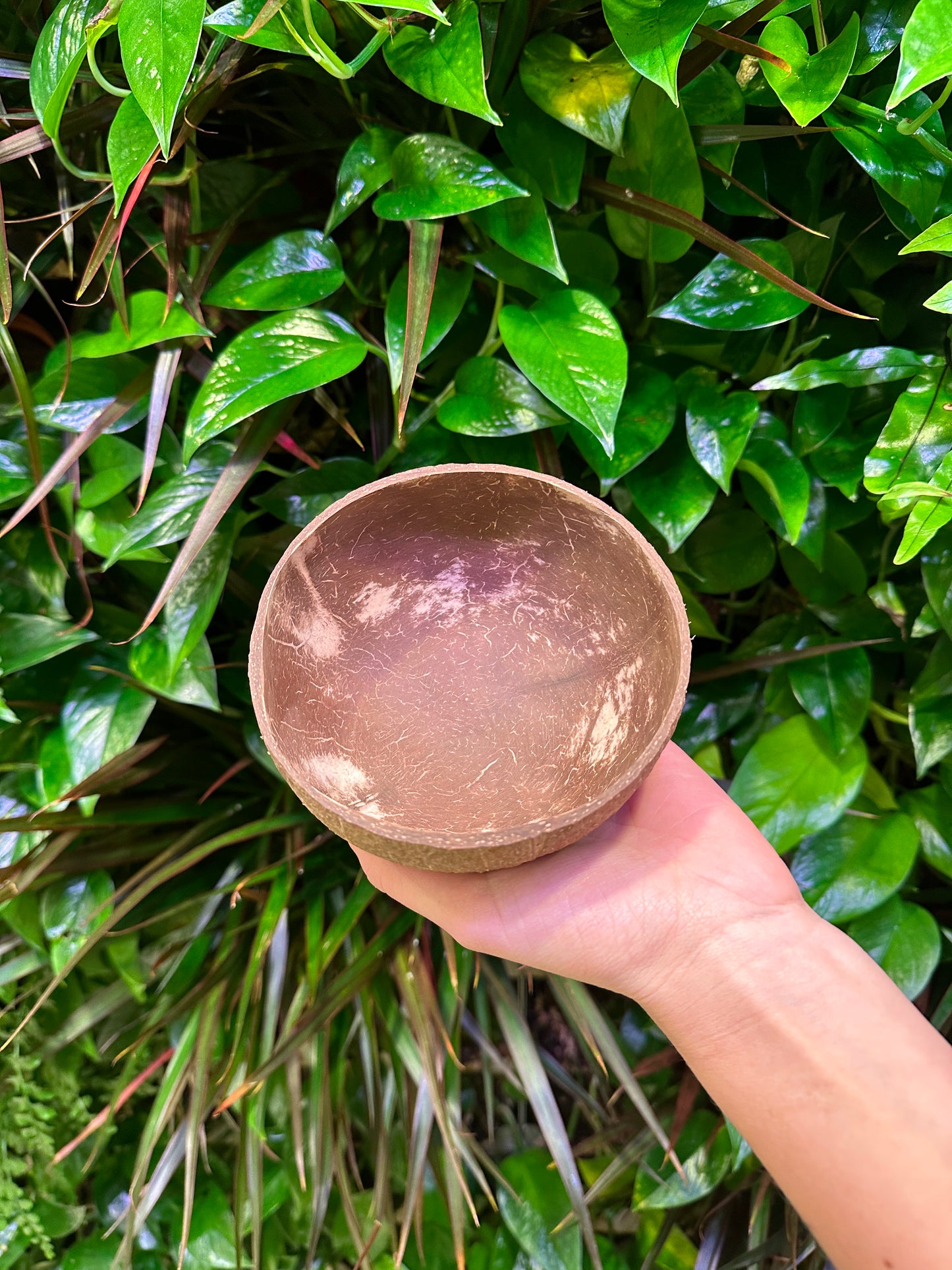 inside of medium coconut bowl