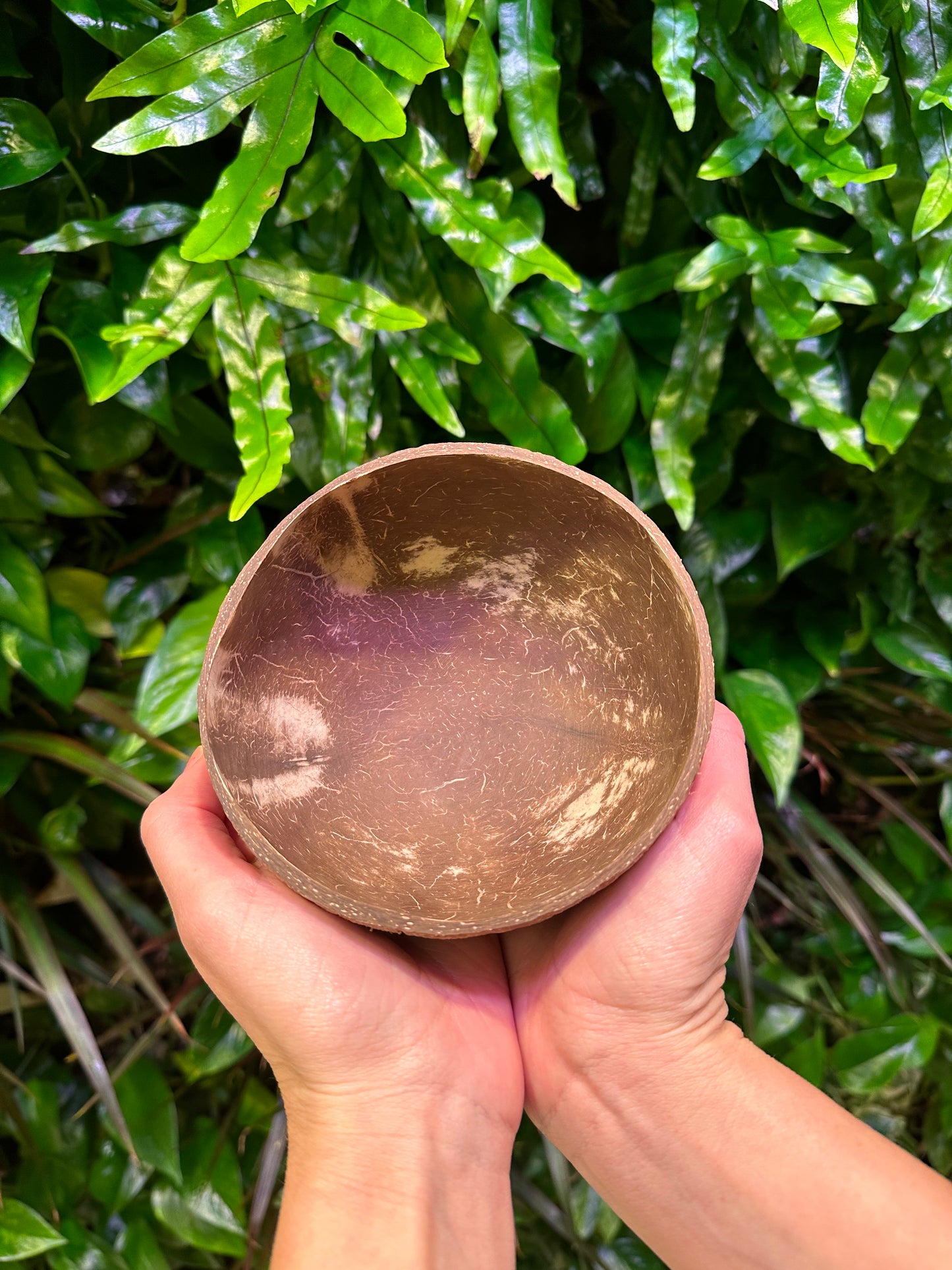 inside of coconut shell bowl with two hands