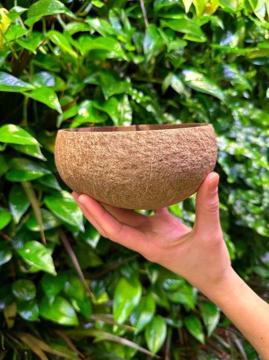 extra large coconut shell bowl in hand for scale