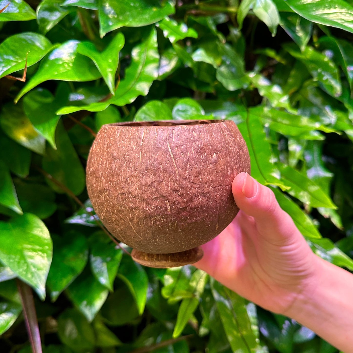 coconut drinking cup