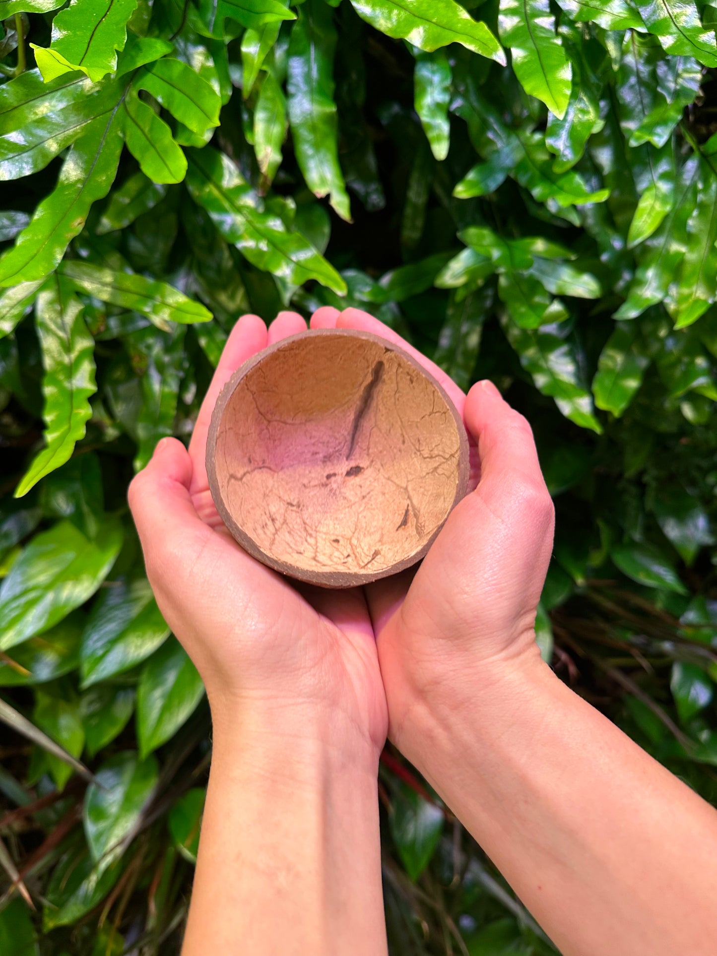 inside of small coconut shell bowl