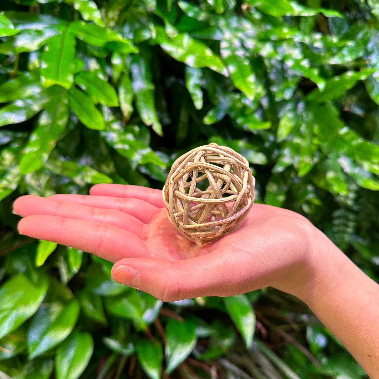 2" vine ball on hand for scale