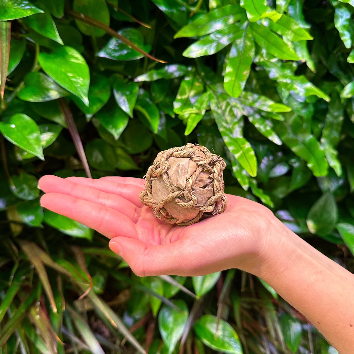 Banana Leaf and Rope Ball