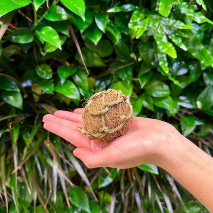 Coconut Fiber and Rope Ball