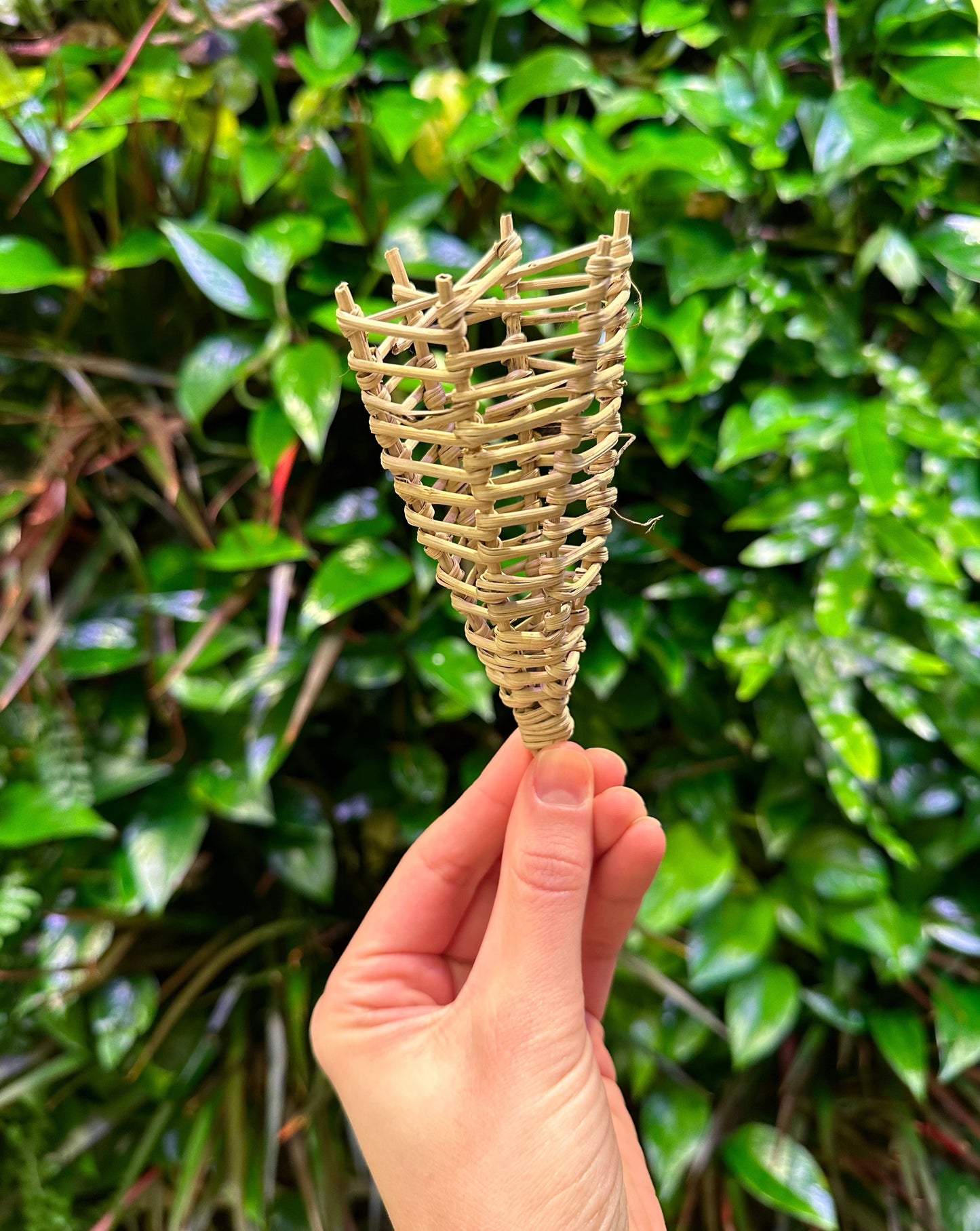 Vine Cone