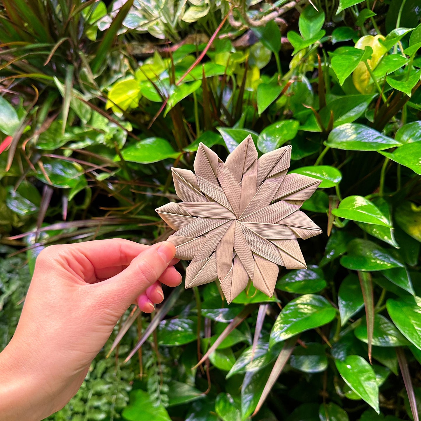 Palm Leaf Star Large