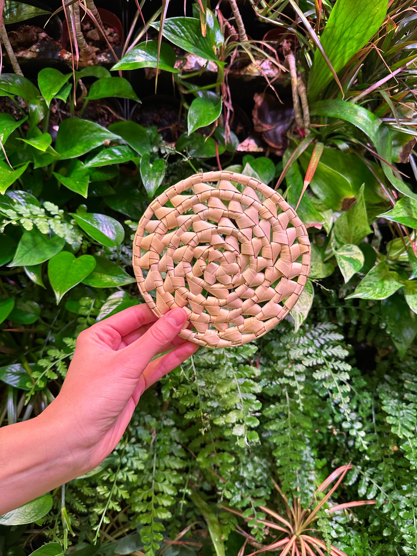 Palm Leaf Disc 6"