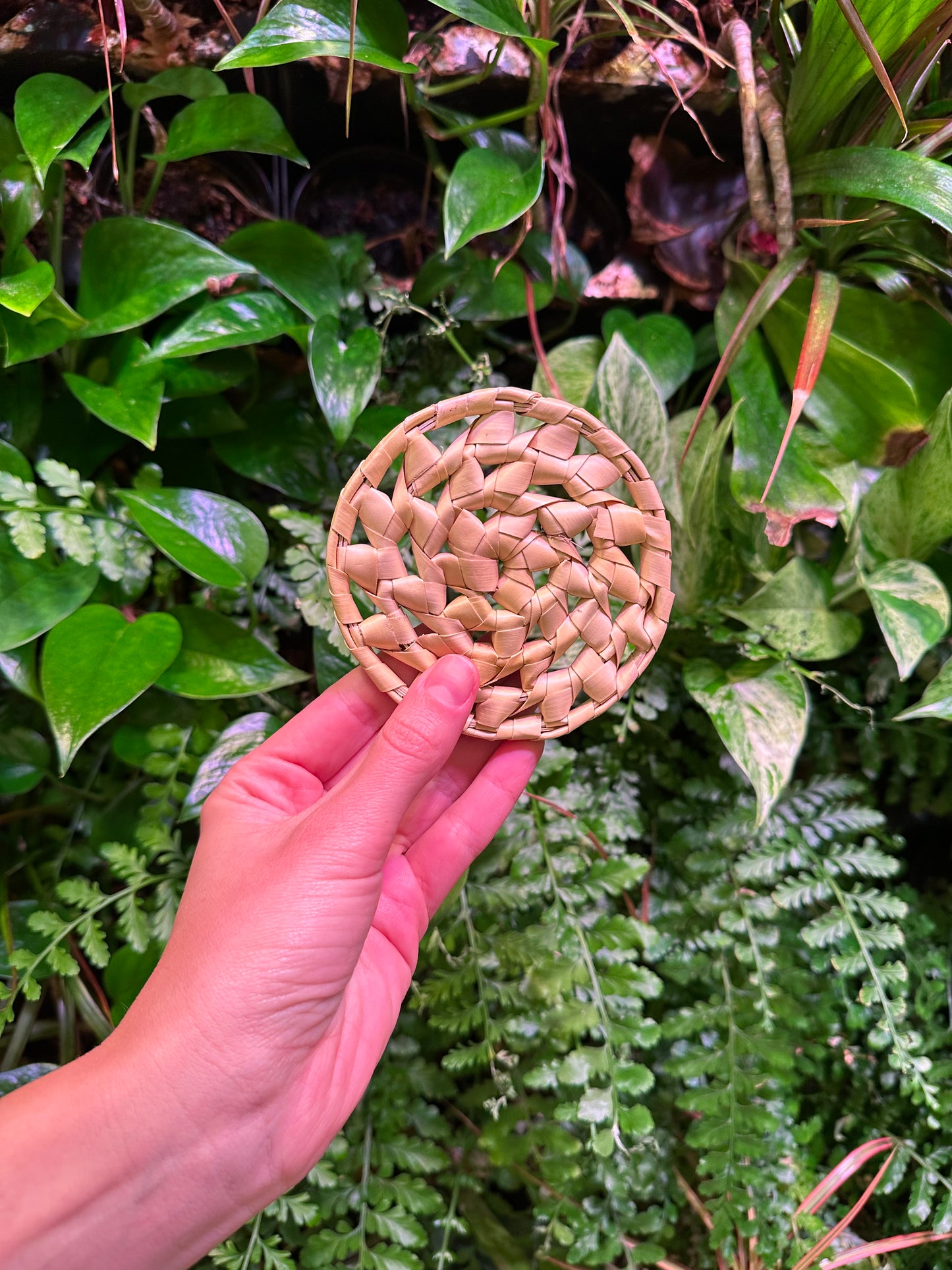 Palm Leaf Disc 4"