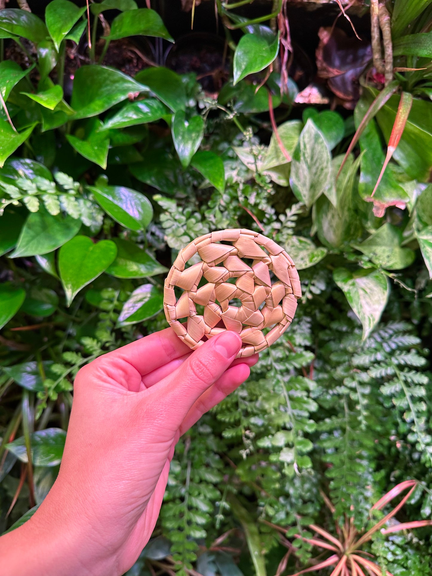 Palm Leaf Disc 3"