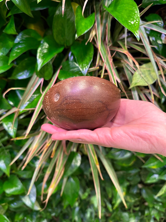 Bulk Polished Coconut Shell, Round Bottom