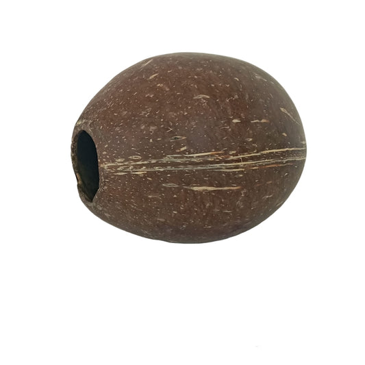 Bulk Whole Coconut Shell Hollow Matte (No Fiber)