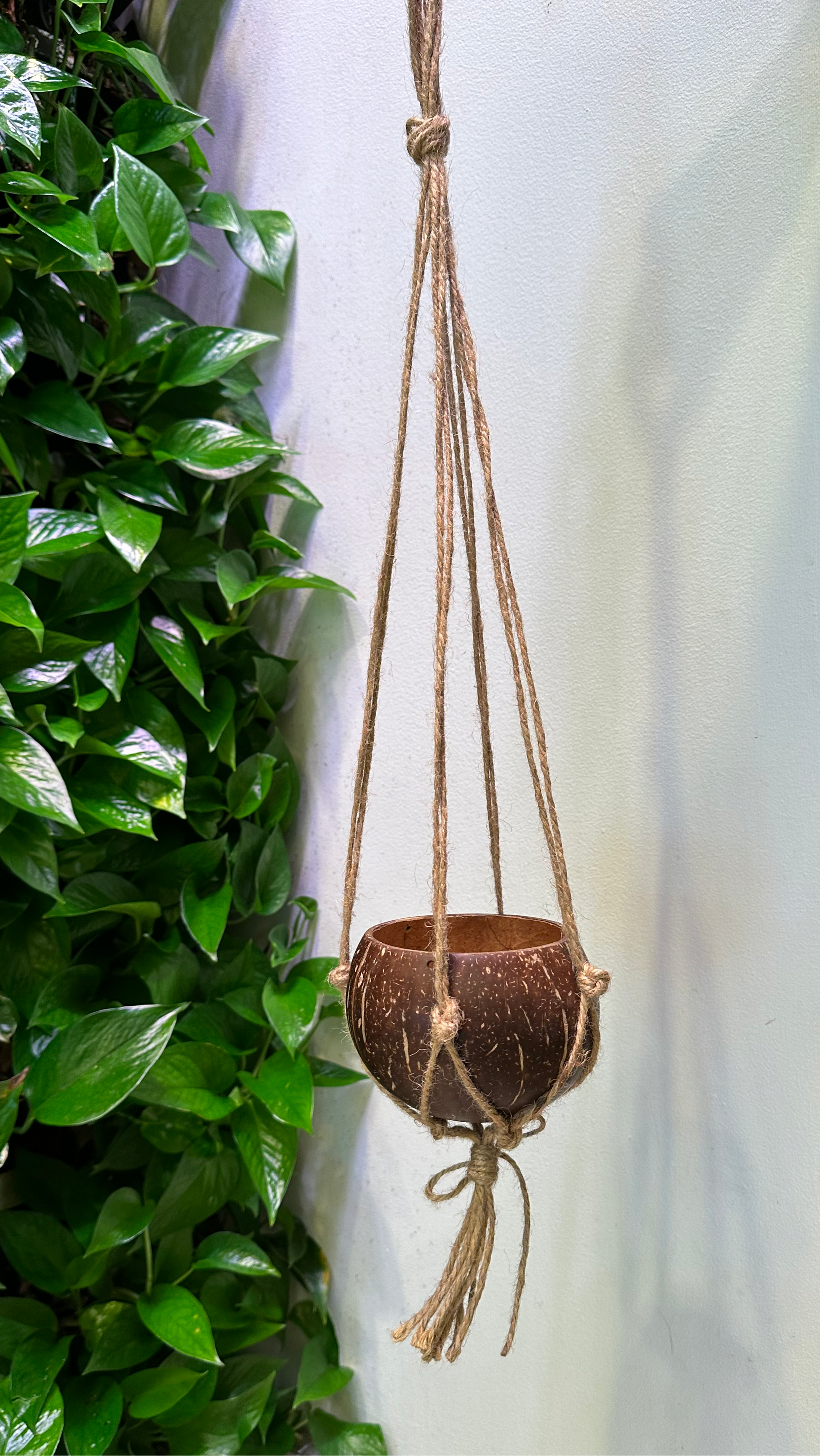 hanging plant pots with rope Coconut Hanging Planter with Tassel