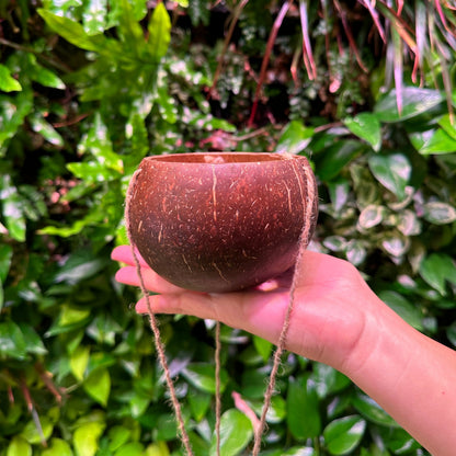 hanging coconut planter Coconut Hanging Planter
