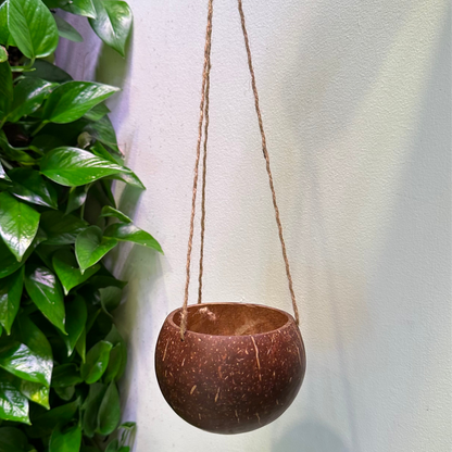 copper hanging planter Coconut Hanging Planter Bulk