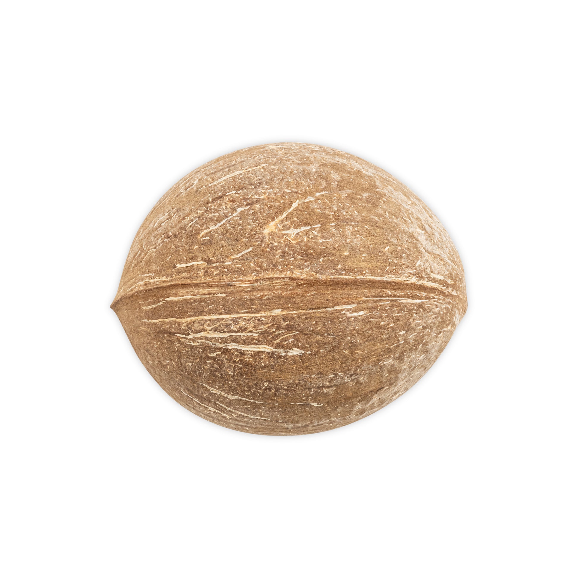 bottom of small coconut shell