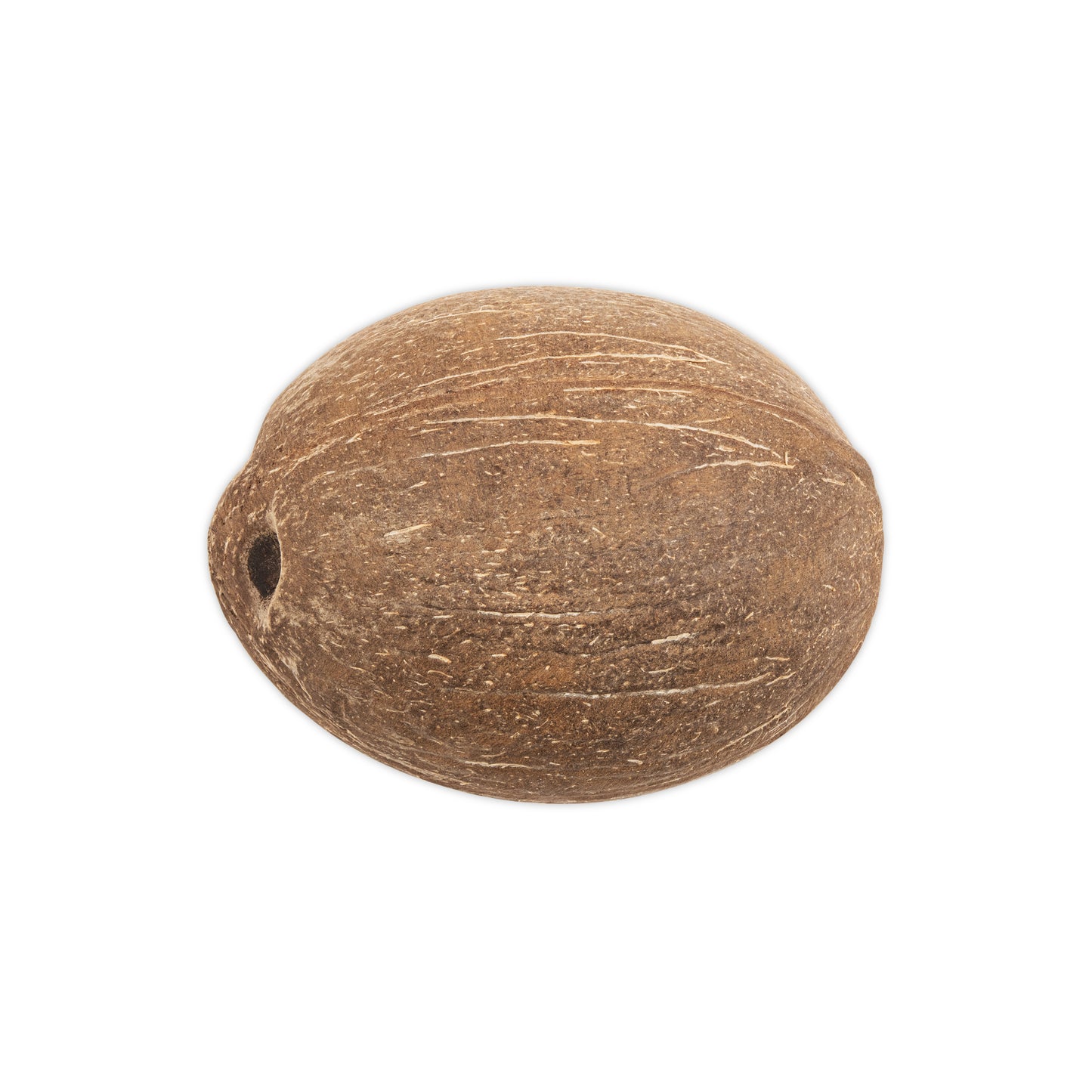 coconut shell all natural smooth round bottom