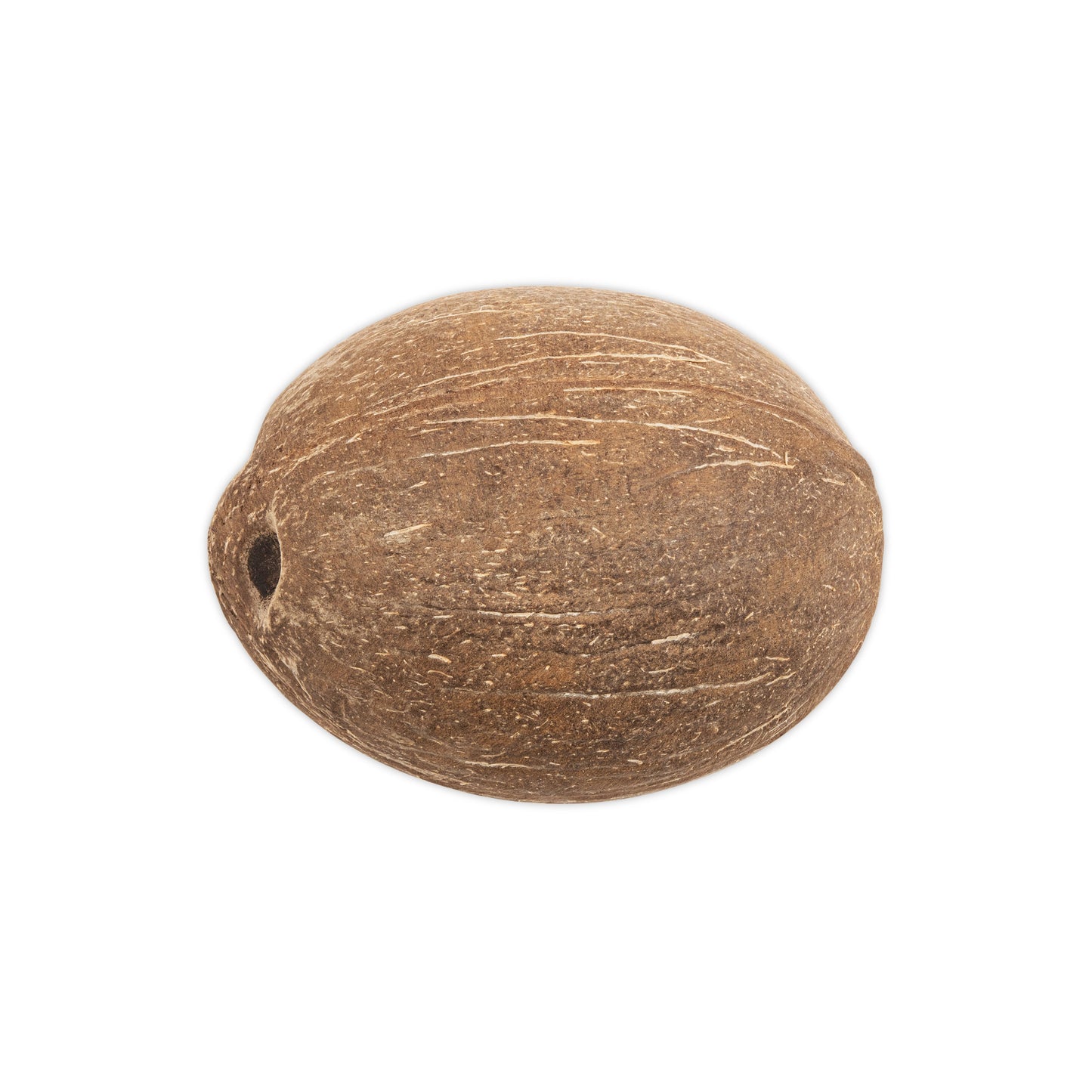 bottom of round medium coconut shell