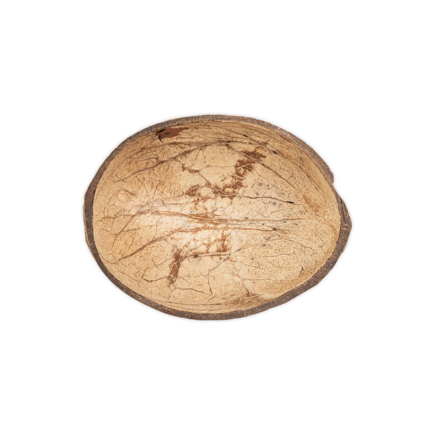 coconut shell smoothed inside for serving