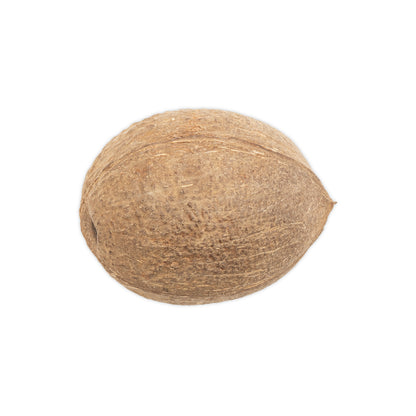 bottom of coconut half shell round bottom