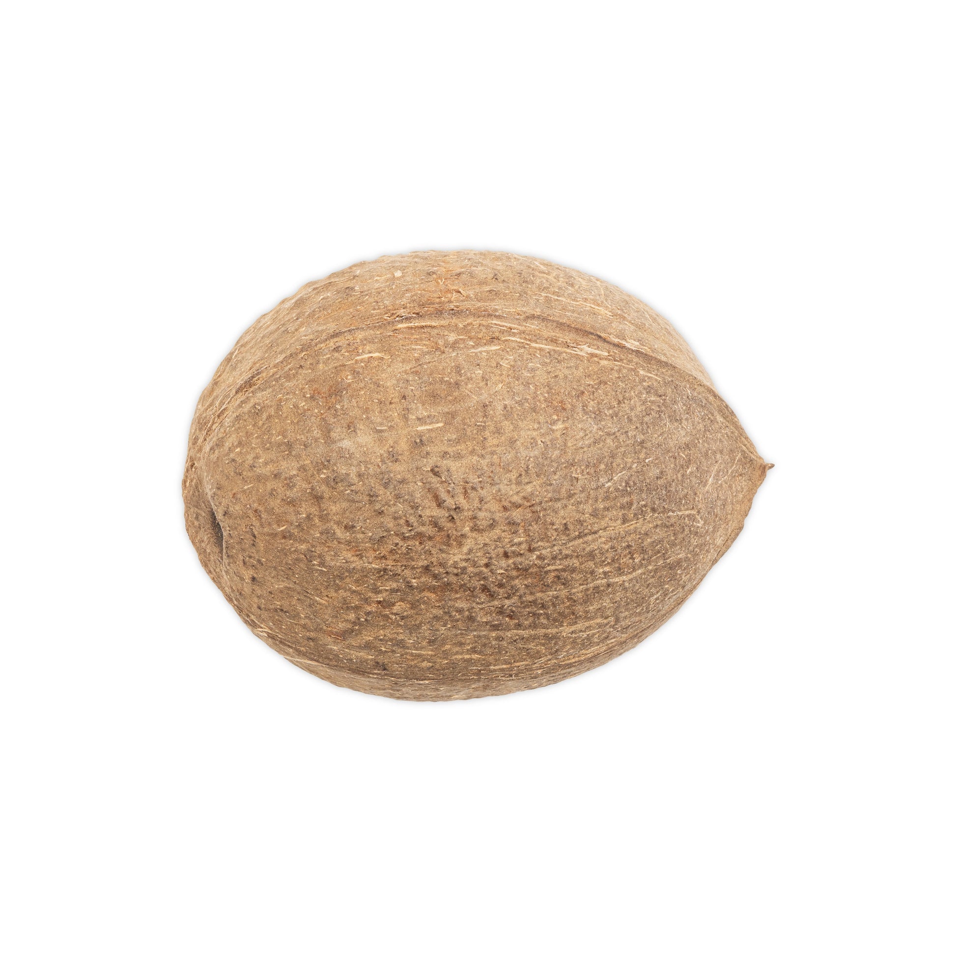 bottom of round coconut shell