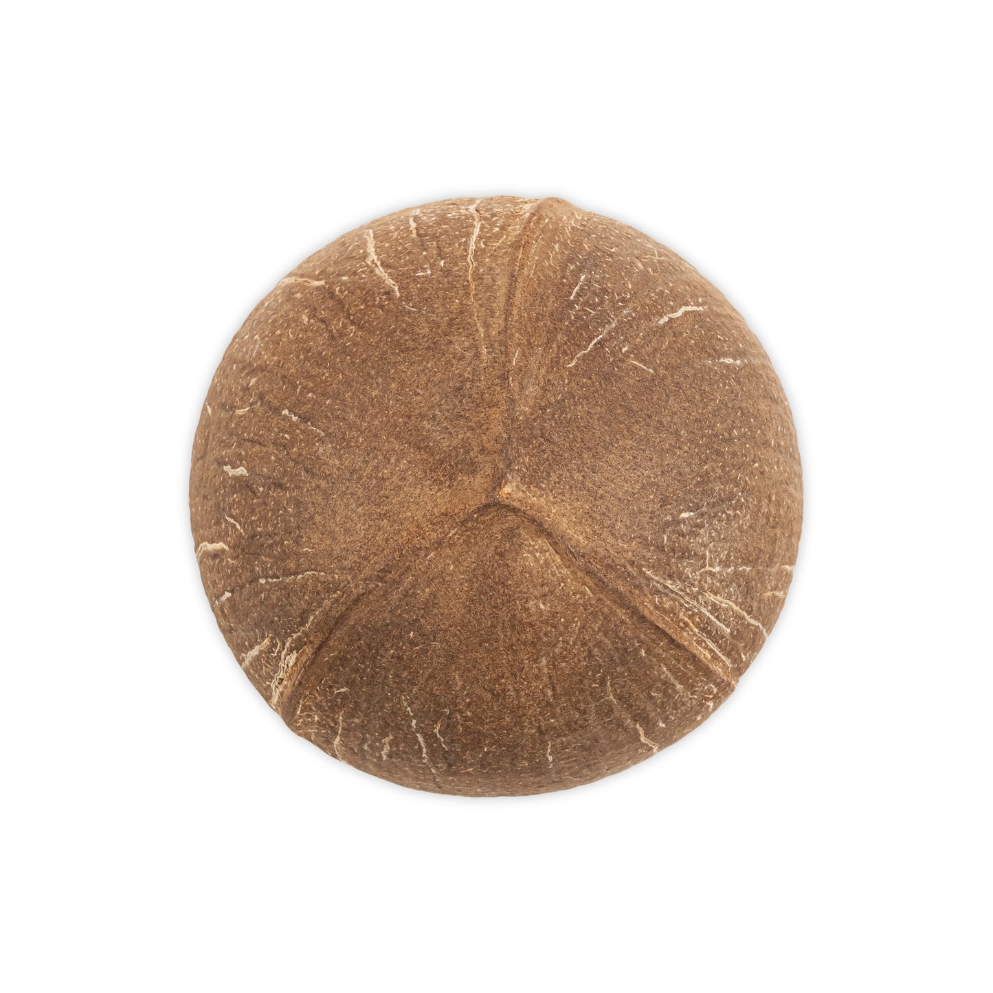 bottom of coconut shell