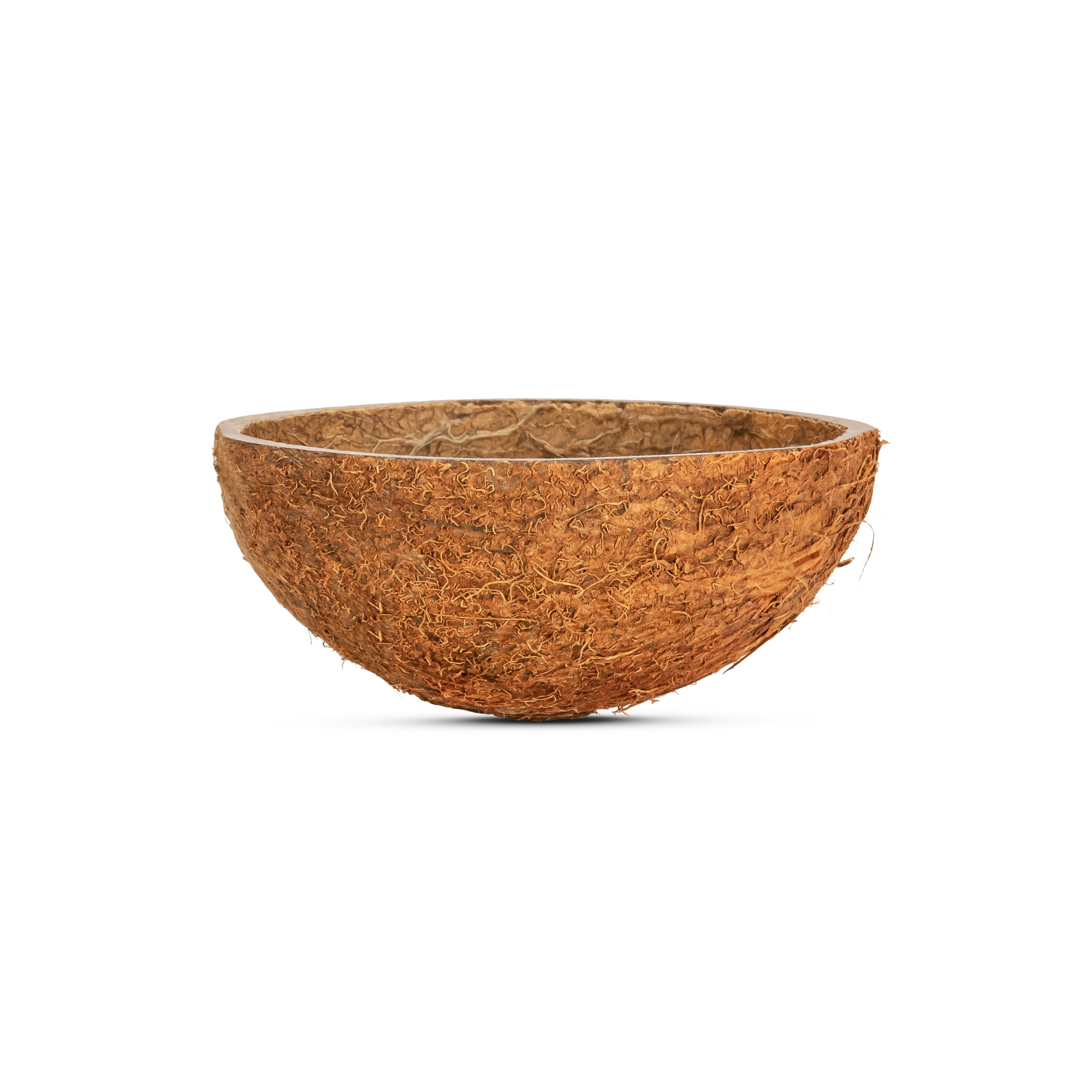 Bulk Coconut Shell with Fiber – Coconut King