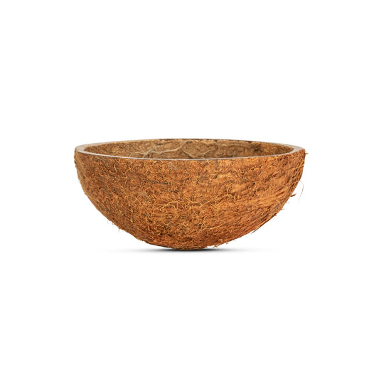 coconut half shell cup with fiber oval