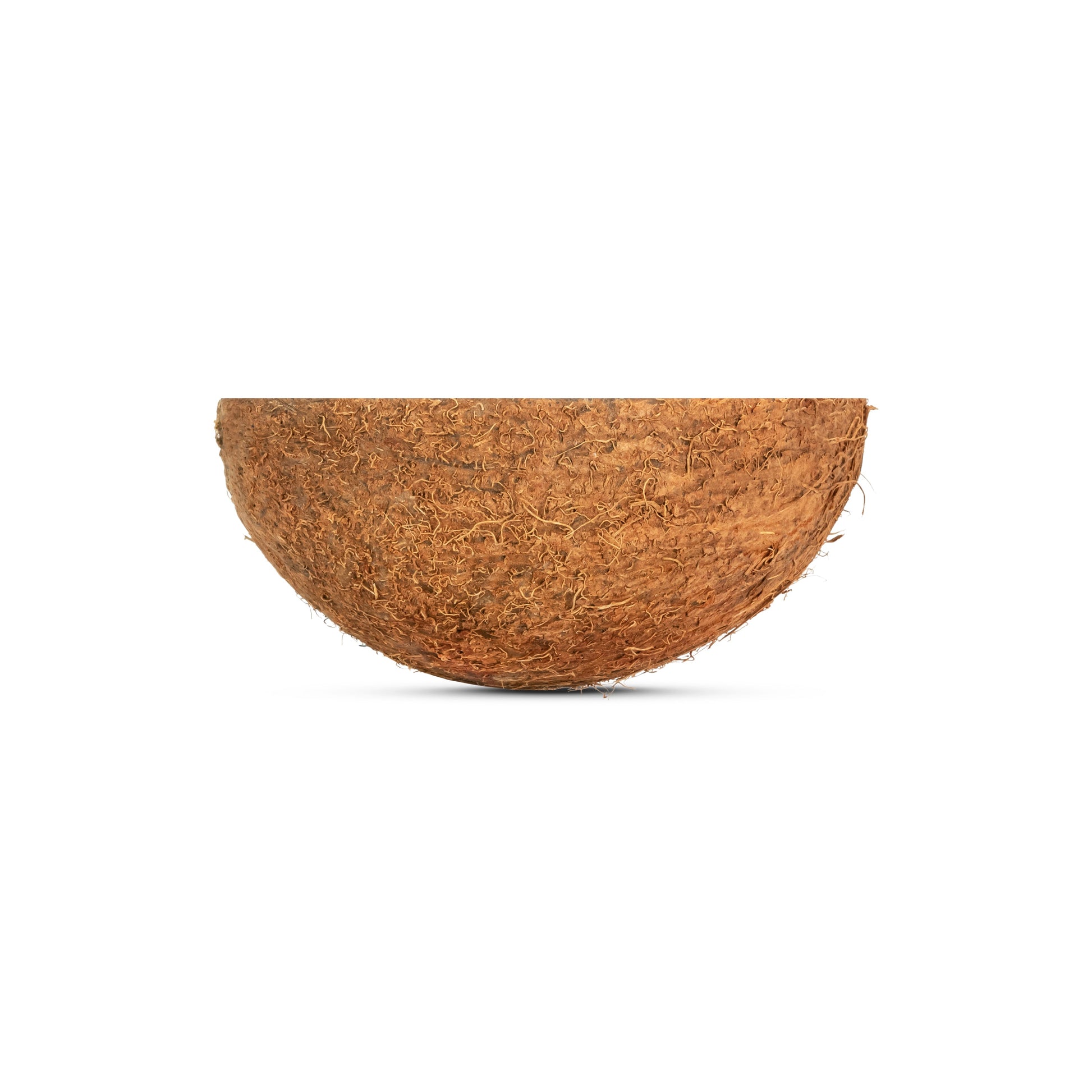 front of coconut cup with fiber