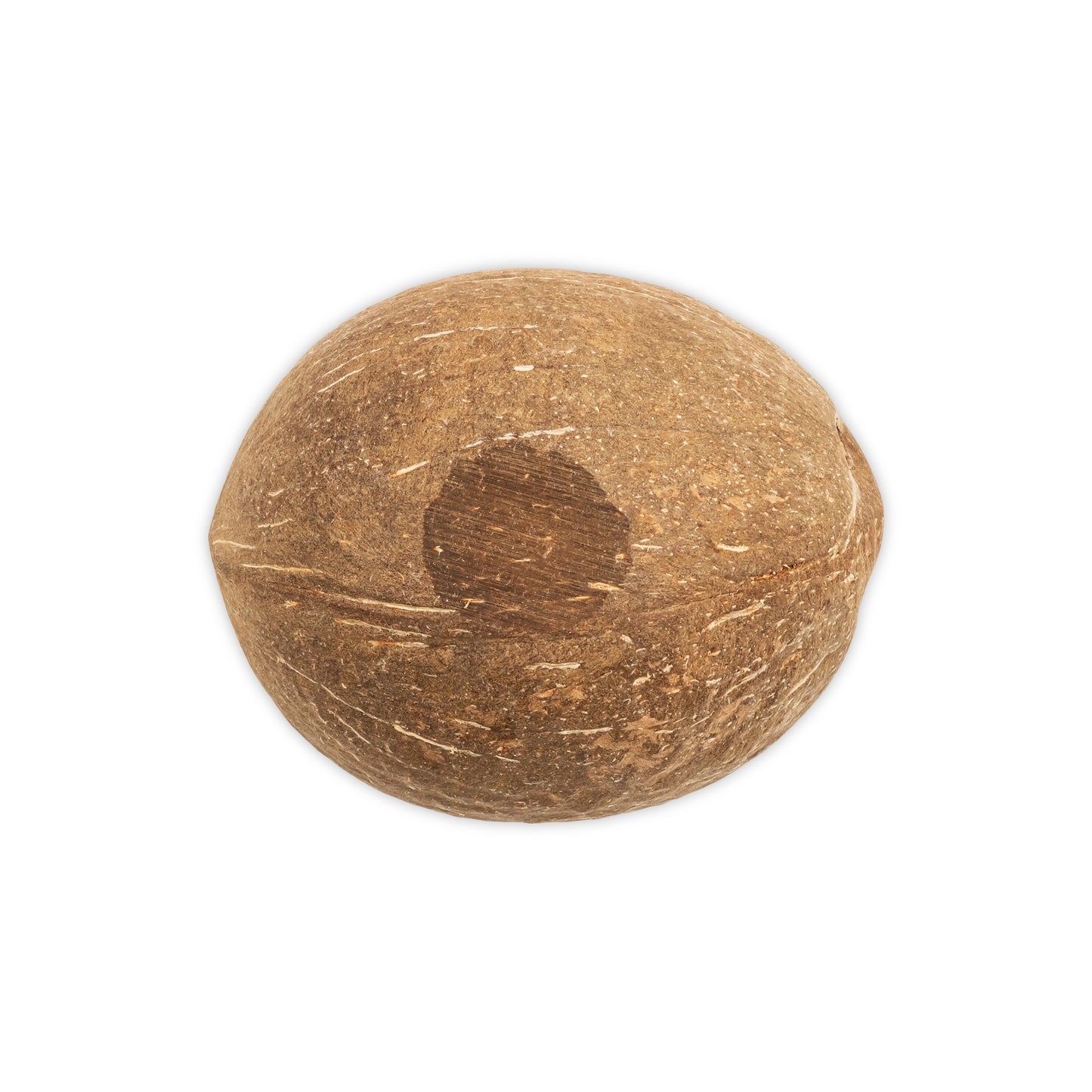 bottom of a coconut shell cup half oval