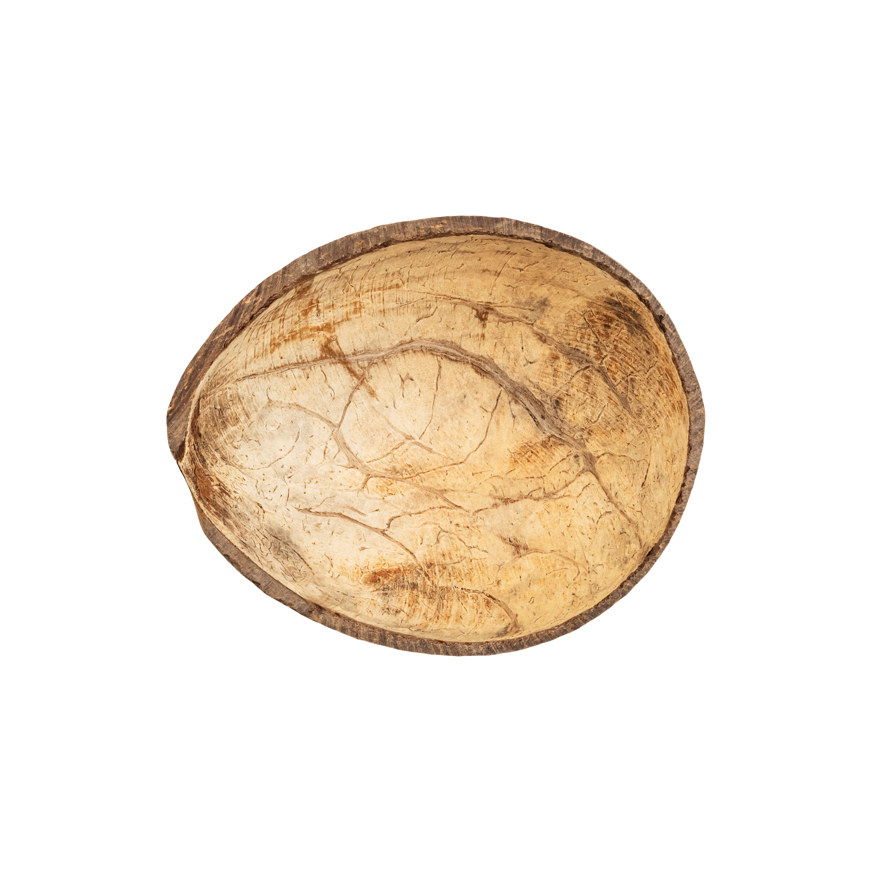 Flat Bottom Shell Bulk Small Coconut Shell, Flat Bottom, 5oz – Coconut King