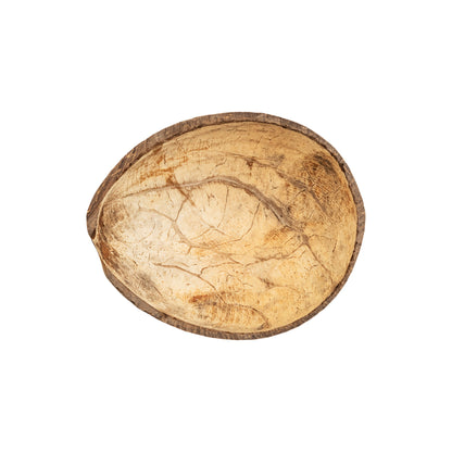 inside of coconut half shell smoothed hollow