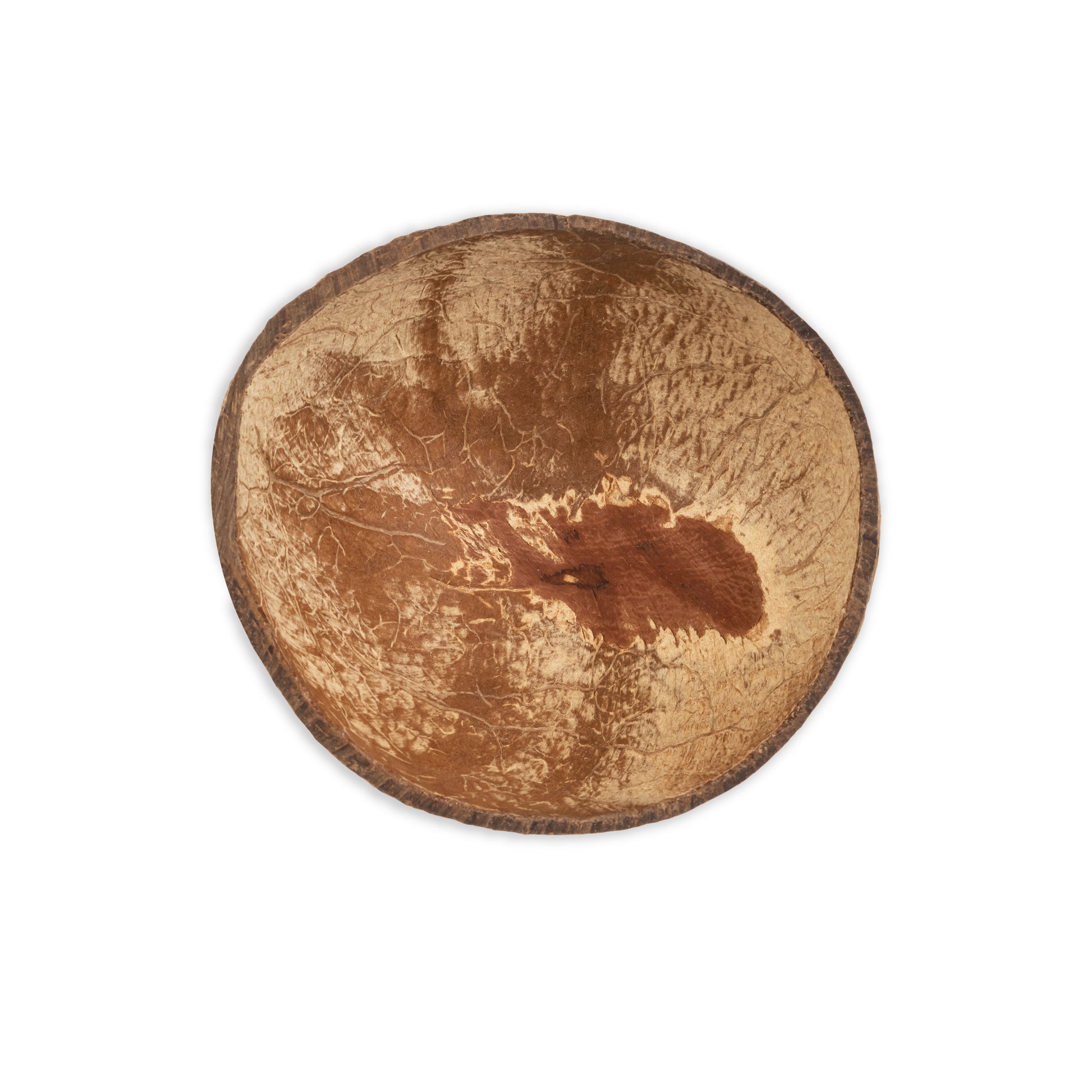 inside of coconut half shell for coconut candles