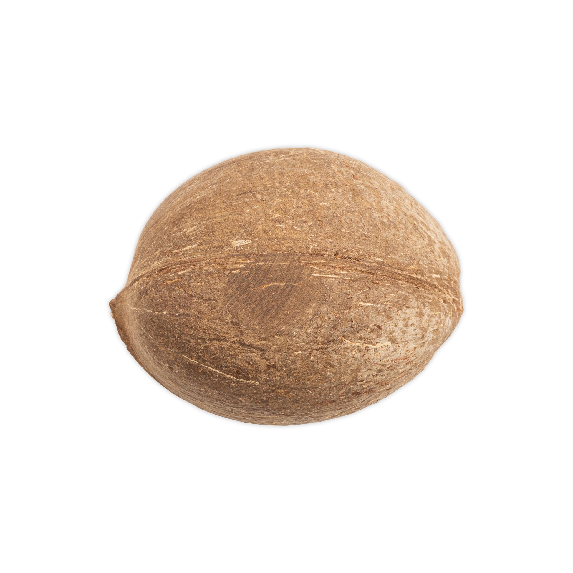 coconut shell sanded bottom oval