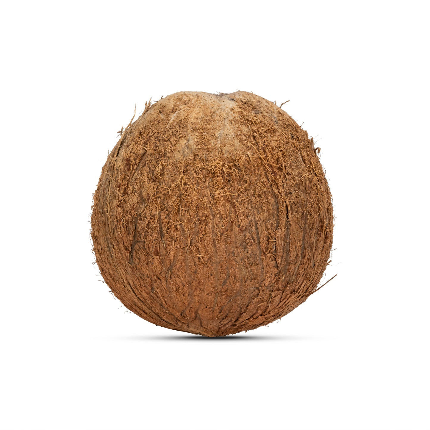 hollowed out coconut shell with fiber