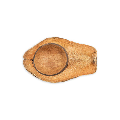 coconut shell husk