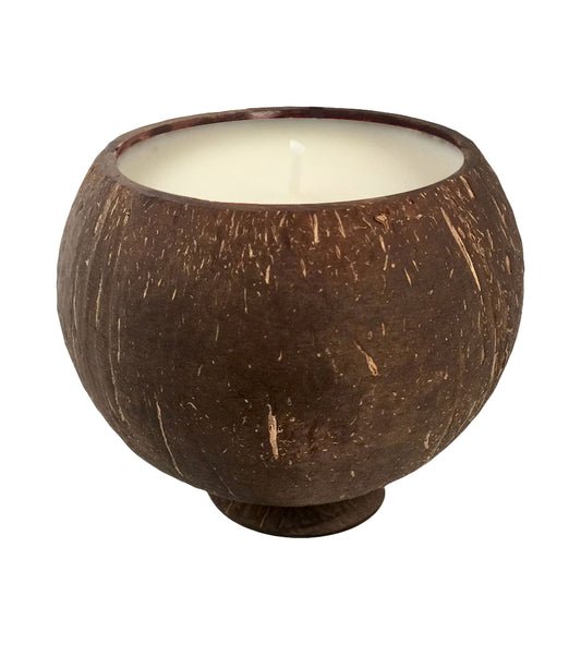 coconut candle in coconut cup pina colada scent wax
