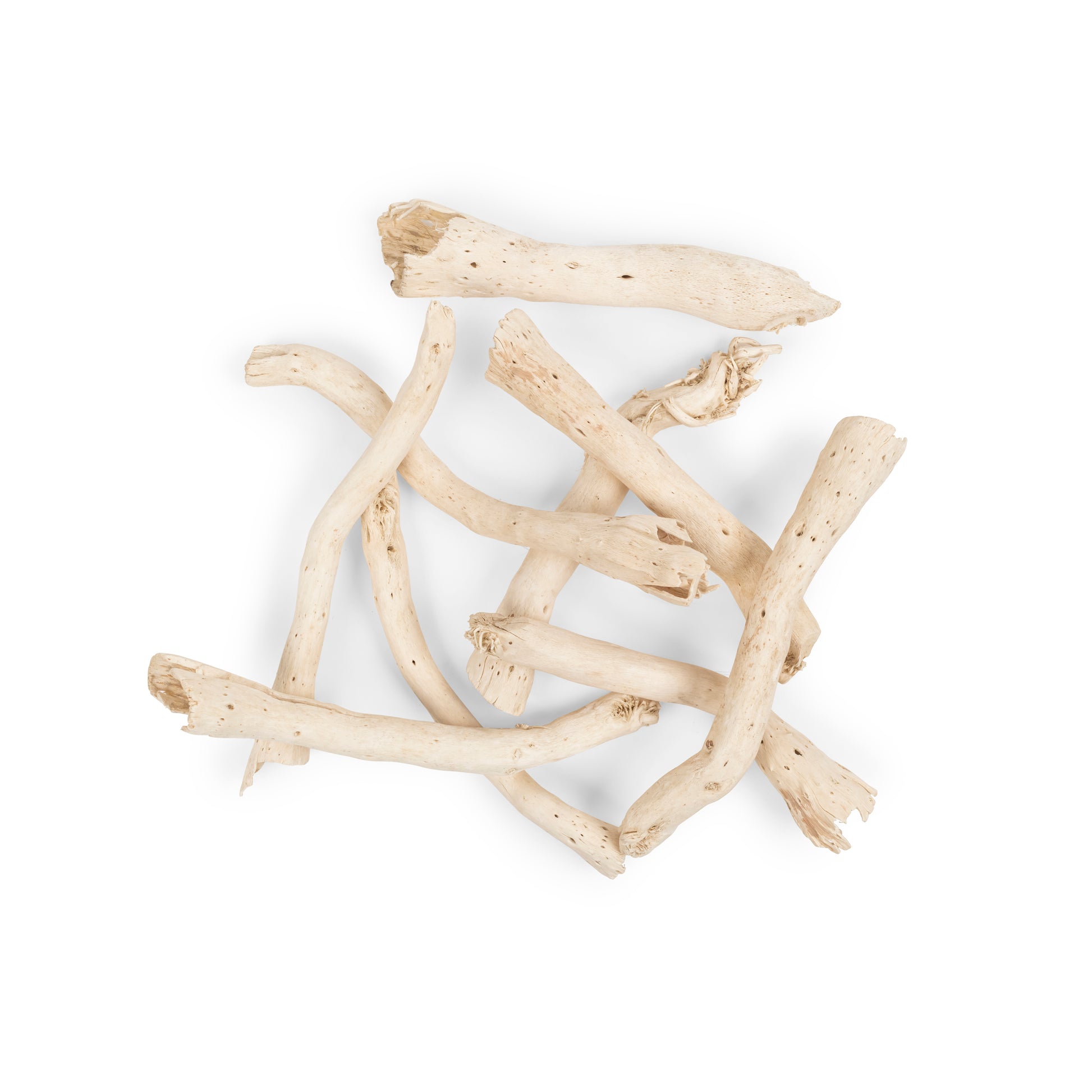 dried-coffee-root