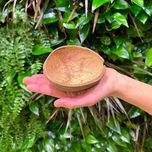 coconut half shell bowl oval with hand smooth inside